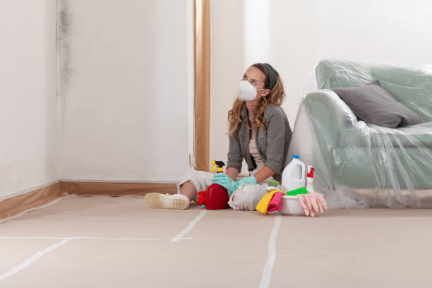 Reliable Hvac And Air Duct Mold Remediation contractor in Clinton, MI by 24 Hour Mold Removal